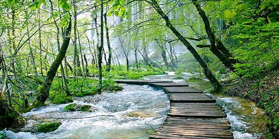 دریاچه الموت